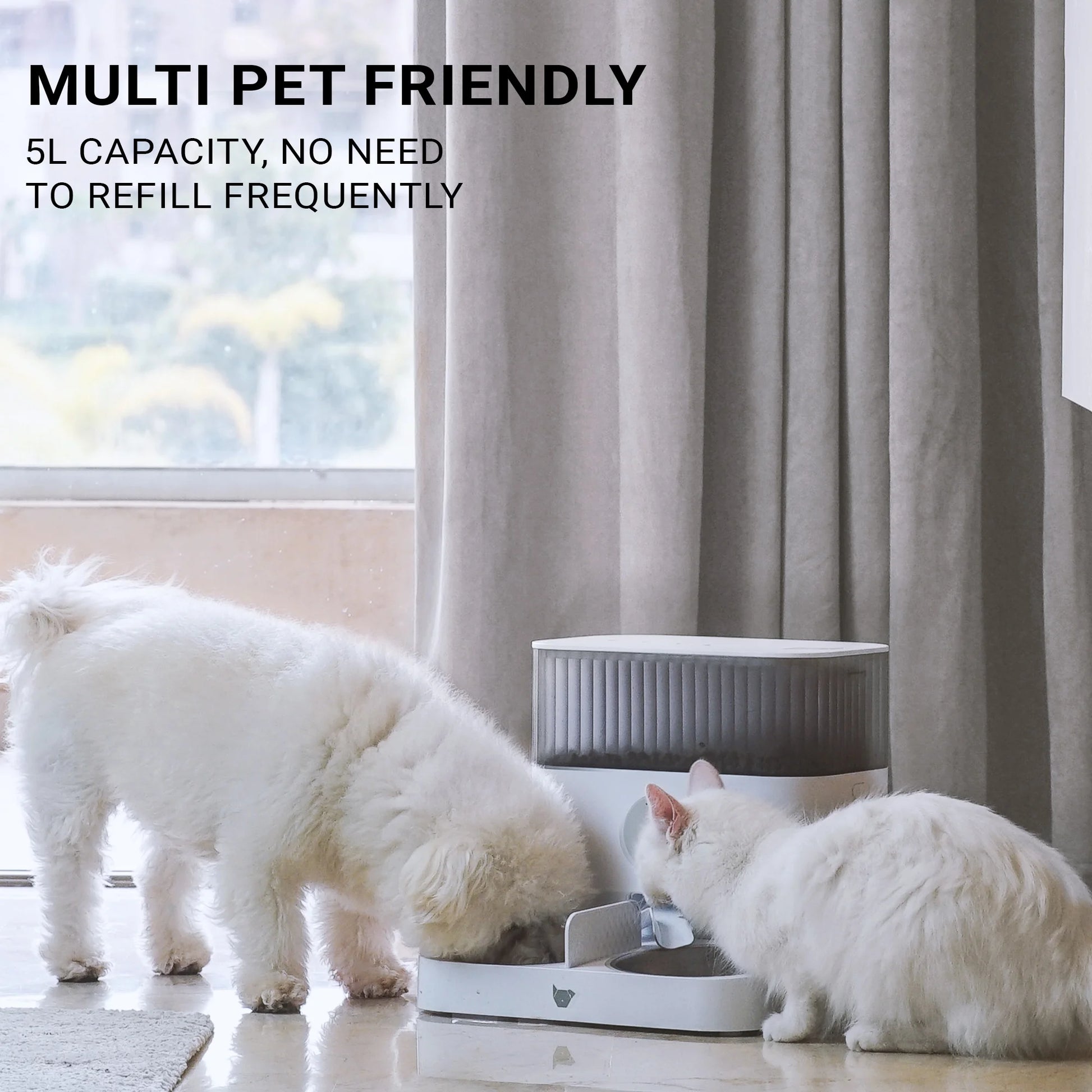 Purechew Double Automatic Pet Feeder, Two-Way Splitter and Double Bowls for Cats and Dogs